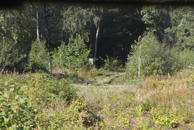 Hier ist sie besonders zugewachsen aber befahrbar.