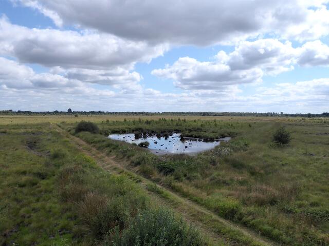 Blick vom Beobachtungsturm auf das Recker Moor