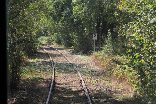 Die Strecke. Schön durch Wald und Feld.