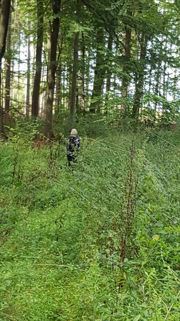 Wo ist der Weg geblieben | Foto: U.Hormann