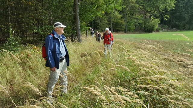 Bestimmt ein Blick in die Ferne | Foto: U.Hormann