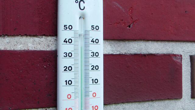 Dazu noch die Hitze - 4 Wochen über 35 Grad und Max lebt in einer Dachwohnung