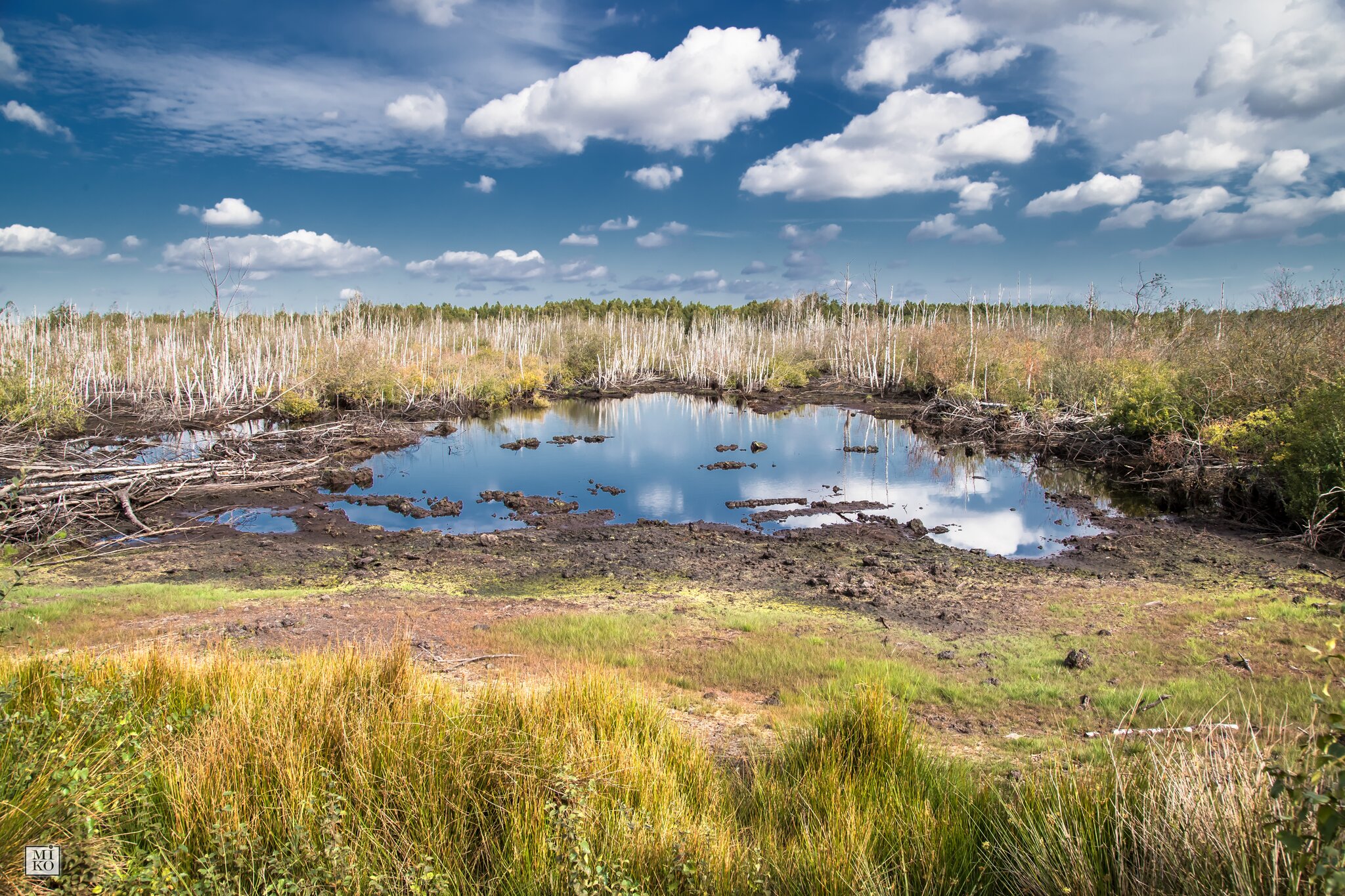 Totes Moor, Neustadt a. Rbge. Neustadt am Rübenberge