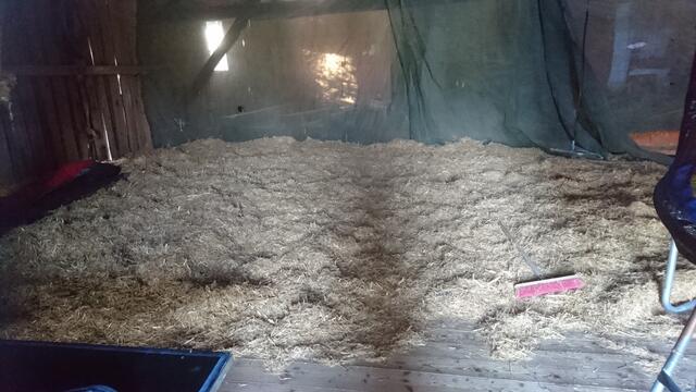 Ausflug zum Hertle Hof mit den Bikern des MTC und den Kids der Villa Kunterbunt