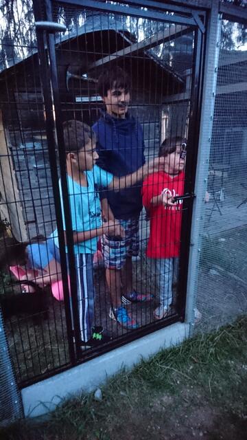 Ausflug zum Hertle Hof mit den Bikern des MTC und den Kids der Villa Kunterbunt