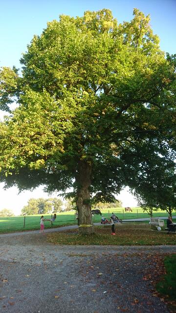 Ausflug zum Hertle Hof mit den Bikern des MTC und den Kids der Villa Kunterbunt