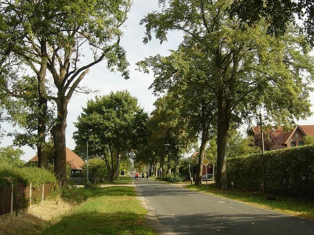 Neubaugebiet von Meitze, Straße zum Wasserwerk.