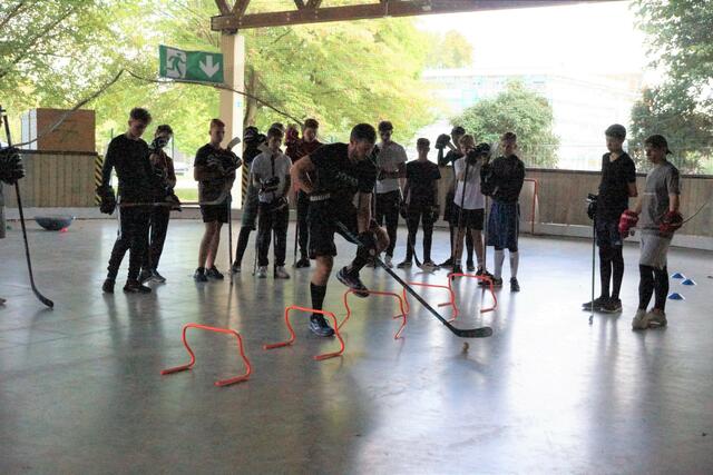 schnell und flink beim Holzkugeltraining