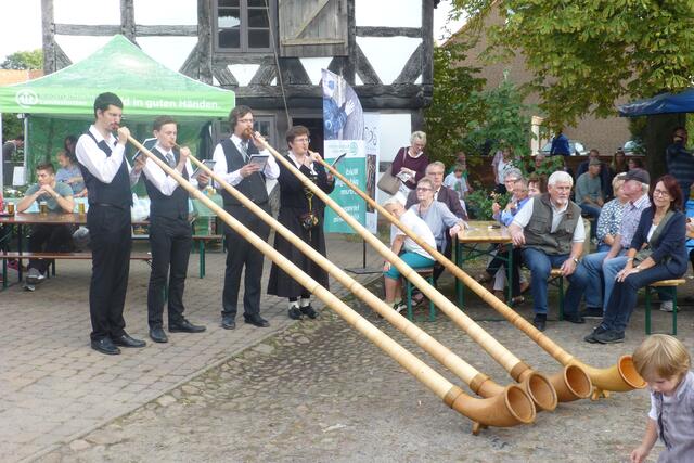 Lerchenthaler Alphornbläser