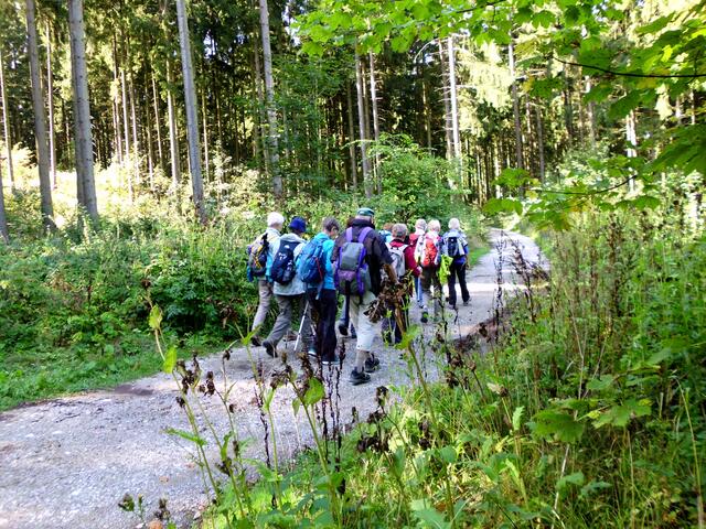 Kammweg auf dem Vogelberg