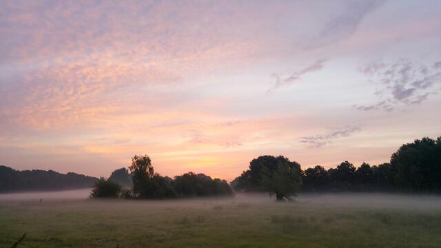 Ein zauberhafter Sonnenaufgang im Nebel.