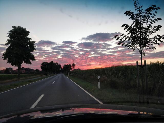 Jeder Morgen hält andere Bilder für uns bereit! Keiner gleicht dem Anderen. Stets aufs Neue erwartet uns eine Überraschung, ein anderes Bild. Er zeigt sich mal farbenprächtig, ein anderes mal gedämpft  in Pastelltönen, golden oder in einen Nebelmantel gehüllt.