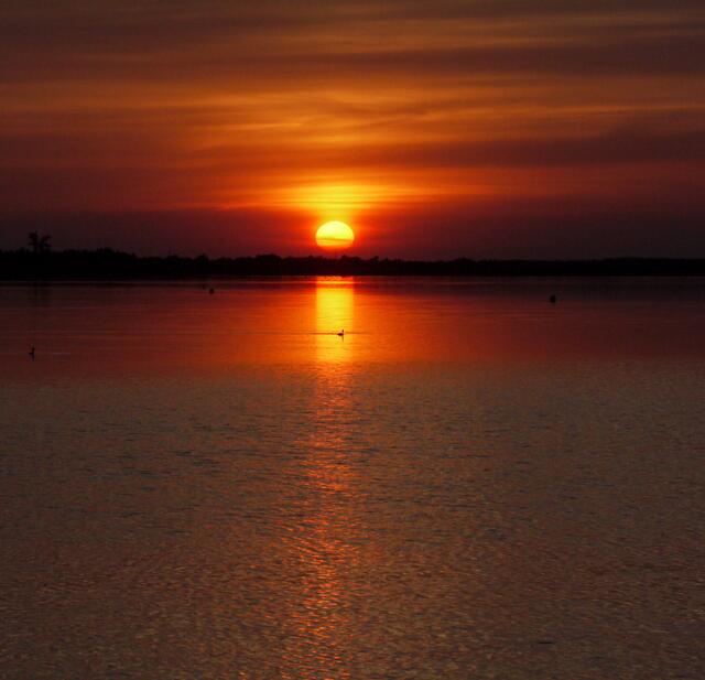 Sonnenuntergang am Steinhuder Meer. Ein Besuch am größten See Nordwestdeutschlands lohnt sich immer! Ganz besonders dann, wenn der Tag mit diesen schönen Bildern endet.