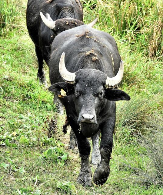 Der Fotograf fühlt sich ins Visier genommen
