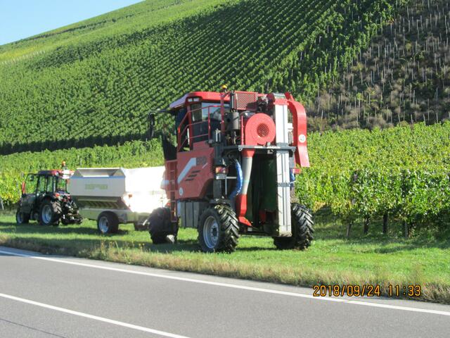 in flachen Abschnitten geht es mit diesem Gerät in die Weinberge zum ernten