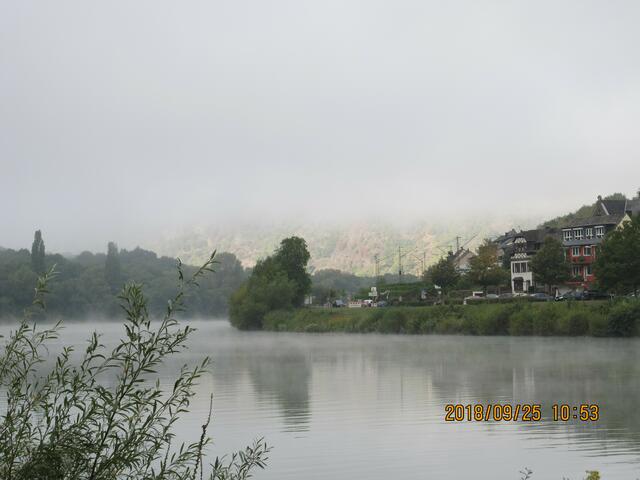 Morgenstimmung an der Mosel