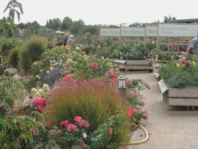 Rosenpark Dräger