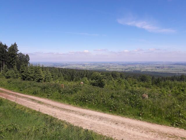 Calenberger Land bei Müllers-Höh