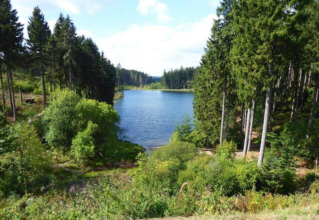 Vom Teich hinter mir schaue ich auf einen tiefer gelegenen. Der Zufluss ist wegen der anhaltenden Trockenheit nur ein Rinnsal.