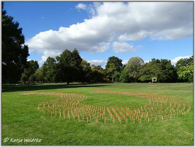 Bernhard Kock "Monokultur – Kocks Orange" - FLORALE im Berggarten Herrenhausen (Foto: Katja Woidtke)