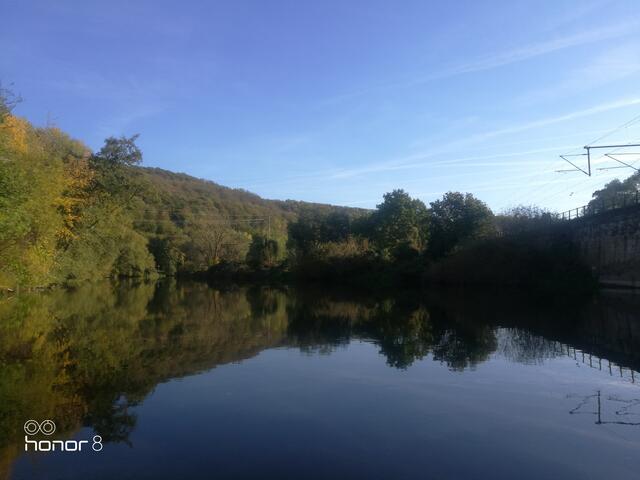 Alles ruhig auf der Saale. Heute kam nicht ein einziges Boot vorbei.