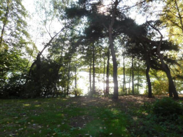 Töppersee