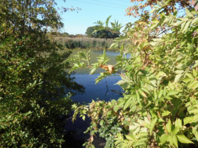 Schwafheimer Meer