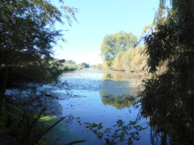 Schwafheimer Meer