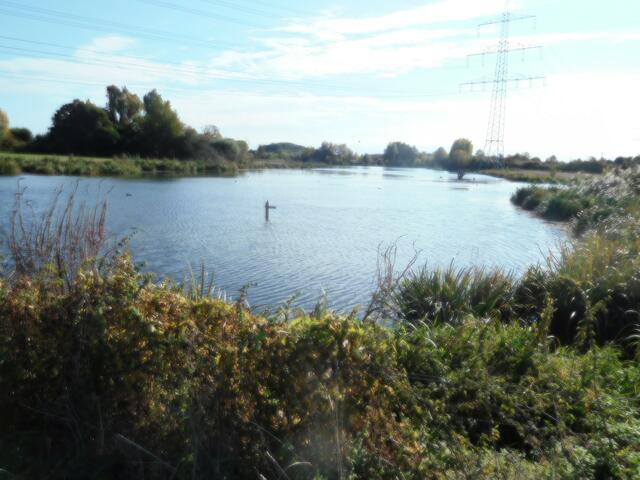Schwafheimer Meer