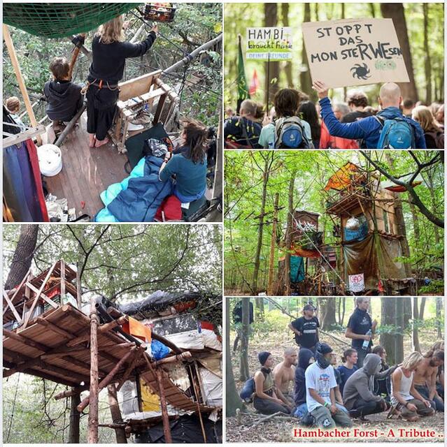 +++ Auch nach dem 6. Oktober dran bleiben +++ Mein offener Brief an die RWE hier:
https://www.facebook.com/notes/max-bryan/hambacher-forst-a-tribute-to-the-people-offener-brief-an-die-rwe/2428749493809618/ (Betreffend 86 geräumter Baumhäuser und der sinnlosen Zerstörung von Lebensräumen)

+++ Unterstützer-Video hier +++
https://www.youtube.com/watch?v=tK5wLChHDA0&list=UUWbqAhkZlc-5P2_rEJtcXkg&t=3m06s
(Dedicated to the brave people of "Hambacher Forst")

#lovethewood #hambibleibt