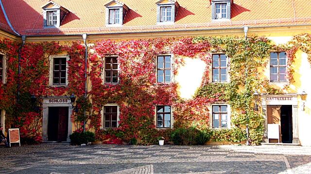 Myheimat und MZ Bürgerreporter Treffen in Aschersleben am 6.Oktober 2018 !