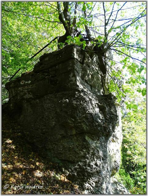 Grüner Altar am Hohenstein (Foto: Katja Woidtke)