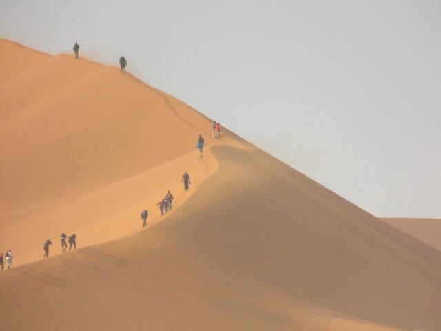 . . . einige Teilnehmer unser Reisegruppe wagten sich sogar auf eine 1,3 km lange Dünenwanderung bis in die Höhe des "Dead Vlei" durch den tiefen Sand . . .