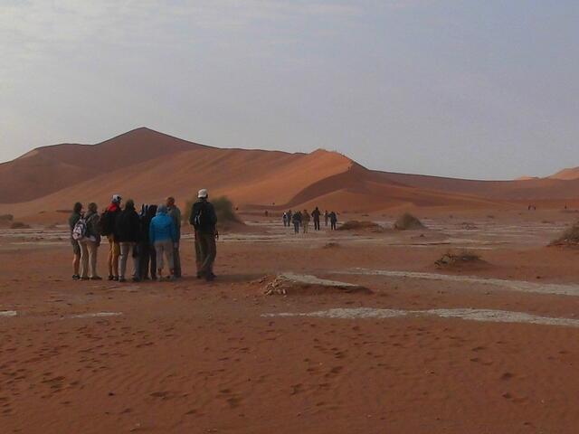 . . . am frühen Morgen gelingen die besten Fotos.
Dabei kommt der Schattenwurf der Dünen besonders zur Geltung . . .