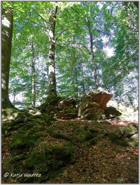 Wandern am Hohenstein im Süntel (Foto: Katja Woidtke)