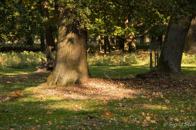 Licht und Schatten