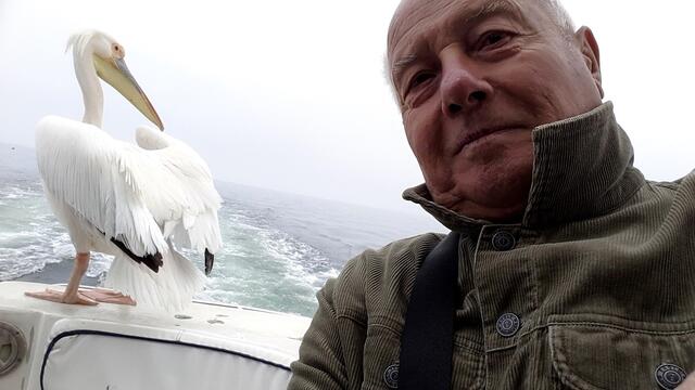 . . .  mir gelang sogar ein "Selfie" mit diesem Pelikan.
                             "Sensationell", . . . war die Meinung der Mitreisenden . . .