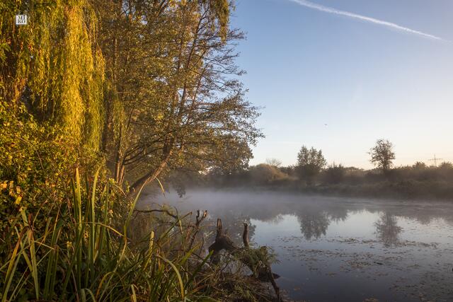 Luther See mit Nebelschwaden