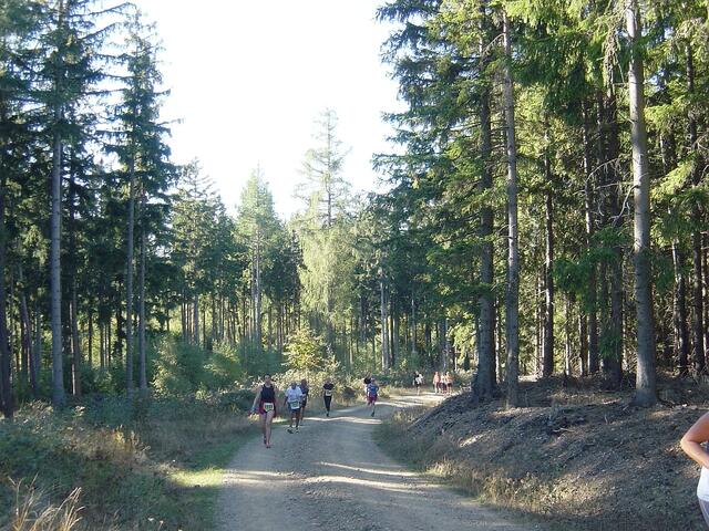 11-Kilometer-Strecke kurz vor´m Ende der letzten Steigung.