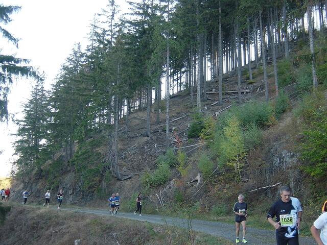 11-Kilometer-Strecke.