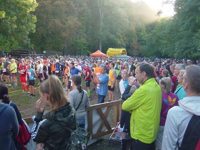 Startaufstellung der Brocken-Marathon-Läufer.