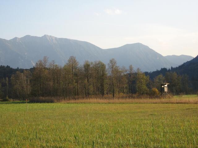 Ich bin nicht allein auf meinem Rückweg. Andere Radfahrer sind meist paarweise unterwegs. Der weibliche Anteil fährt mit E-Bike, die dazugehörigen Männer mit Tourenrad, aber beide im gleichen Tempo.                                                                            Eine Holzbank lädt mich zur Rast. Ich hole meine mitgebrachten Weintrauben aus dem Rucksack und genieße die saftigen Früchte. Radfahren macht Durst! Vor mir die Berge im letzten Sonnenlicht. Es wird Zeit, an die Rückfahrt zu denken.