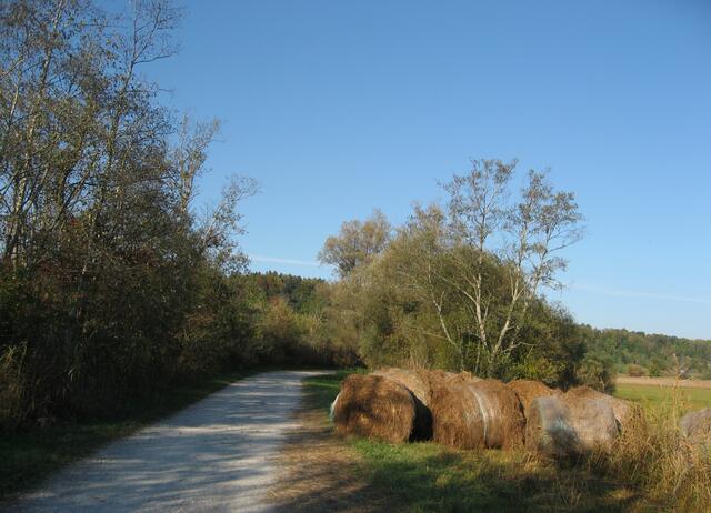 Hier bin ich bereits auf dem Rückweg, einem Teilabschnitt durchs Murnauer Moos. Am Wegrand Strohballen, reiche Ernte für einen langen Winter. -                     
Die Malerin Gabriele Münter hat für uns festgehalten, wie früher diese Strohballen getrocknet und rundherum  um einen langen Holzstock, zum Trocknen aufgehäufelt wurden. (Siehe letztes Foto).