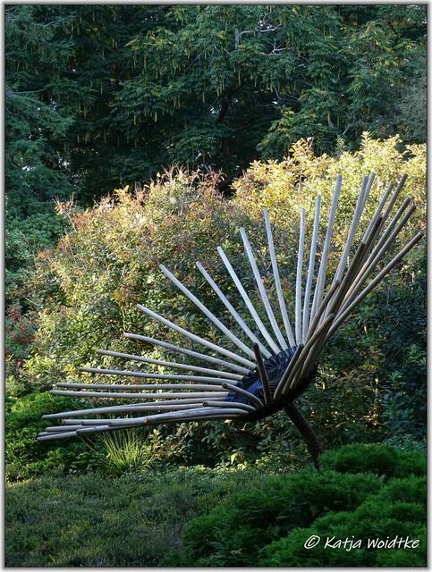 Klaus Madlowski "Stielblüte" - FLORALE im Berggarten Herrenhausen (Foto: Katja Woidtke)