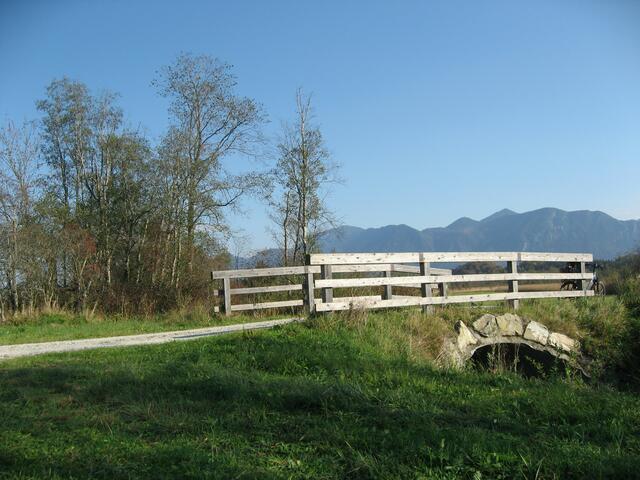 Kleine Holzbrücken, wie diese hier, zeigen mir den Weiterweg durchs Naturschutzgebiet. Sind sie nicht jedes Mal wieder schön anzuschaun und gleichzeitig auch Symbolträger auf unserem Weg durchs Leben? Nicht immer können wir Hindernissen so einfach und bequem ausweichen, bzw. auch nicht überbrücken, wie das hier zu sehen ist. Umso schöner ist es dann, wenn man in Notzeiten auf "Brückenbauer" trifft, die Hilfe bringen und aus eigener Kraft und mit ganz viel Liebe, tragbare Lebensbrücken bauen.