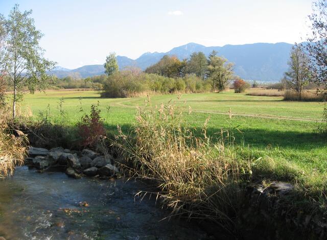 Mein Rückweg geht immer am Bach entlang. Ich kann mich nicht verfahren.