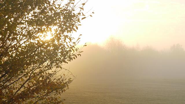 Der Frühnebel vermag die hügelige Landschaft zu verzaubern. Foto: Helmut Kuzina