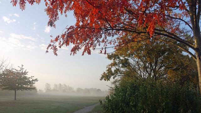 Die Leuchtkraft der Herbstfarben erscheint mit der aufsteigenden Oktobersonne. Foto: Helmut Kuzina