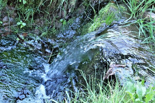 frisches Wasser
