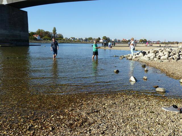 Rhein bei Speyer und extremes Niedrigwasser